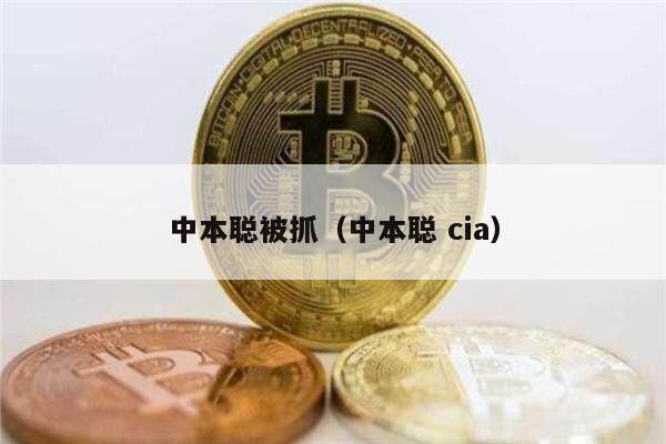 中本聪被抓（中本聪 cia）-第1张图片-芝麻交易所下载